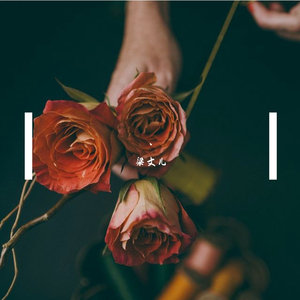 纲手穿比亚尼吃狙第三季什么时候出
