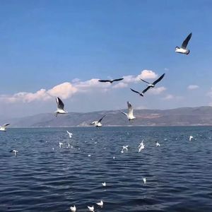 纲手穿比亚尼吃狙第三季什么时候出
